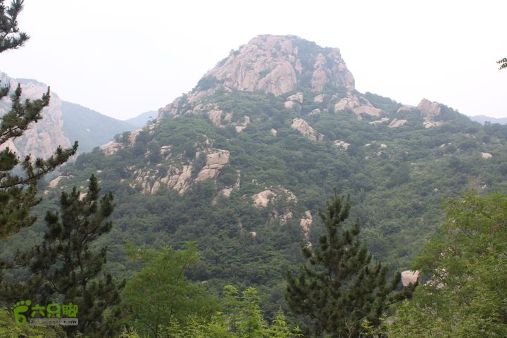 蒙山林家崮IMG_5760