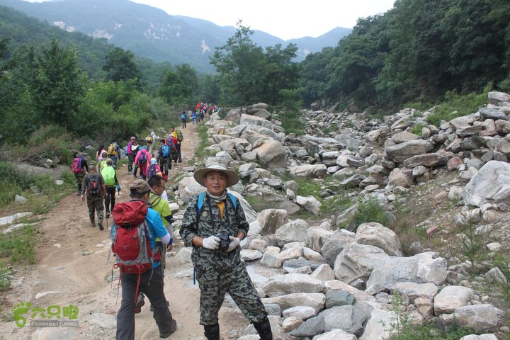 蒙山林家崮IMG_5764