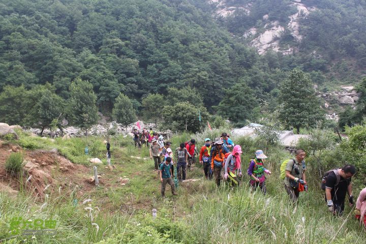 蒙山林家崮IMG_5776