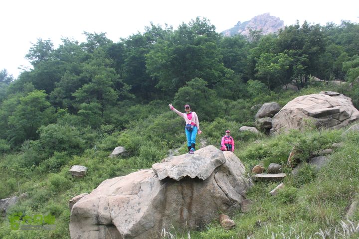 蒙山林家崮IMG_5774