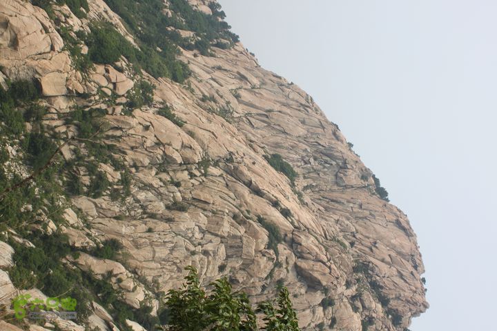 蒙山林家崮IMG_5785