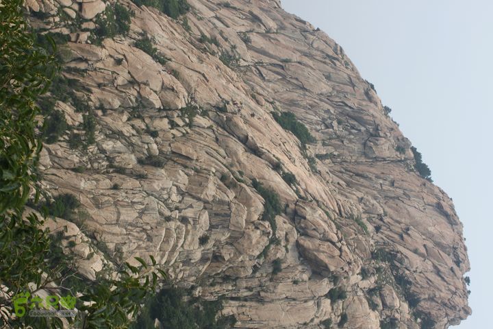 蒙山林家崮IMG_5809