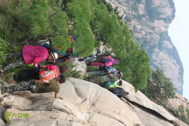 蒙山林家崮IMG_5823