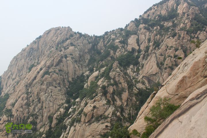 蒙山林家崮IMG_5853