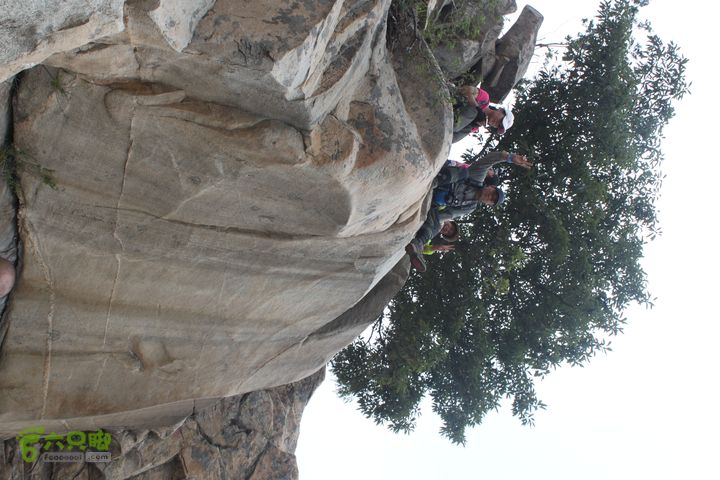 蒙山林家崮IMG_5863