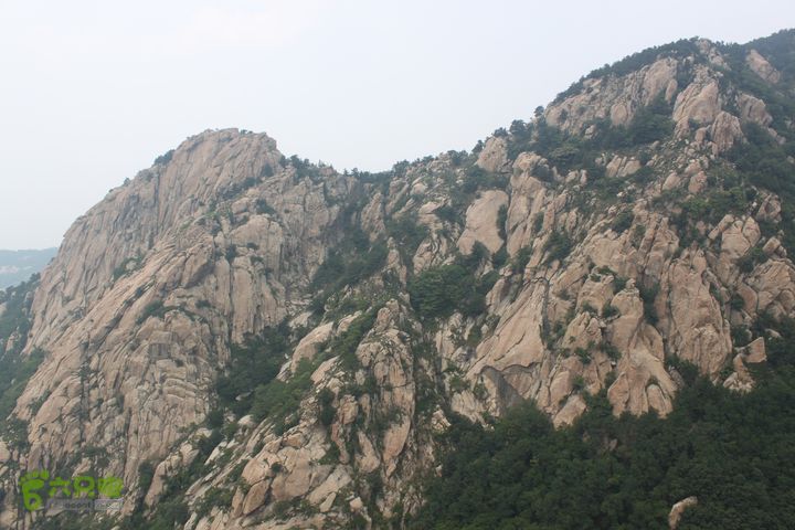 蒙山林家崮IMG_5967