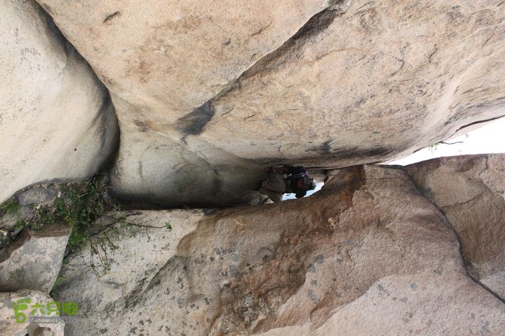 蒙山林家崮IMG_5972