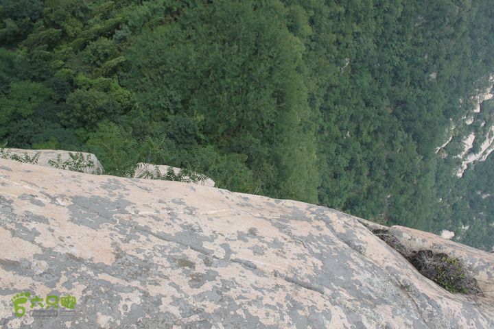 蒙山林家崮IMG_6050