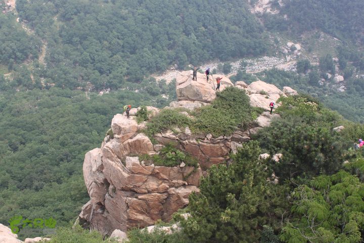 蒙山林家崮IMG_6058