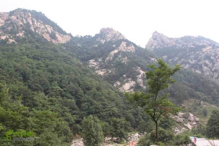 蒙山林家崮IMG_6115