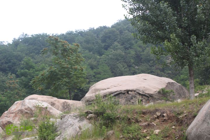 蒙山林家崮IMG_6119