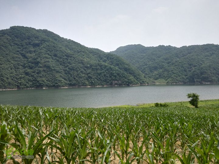 辽宁省抚顺市南杂木骆驼峰穿越至姚家山水库IMG_20150627_122018