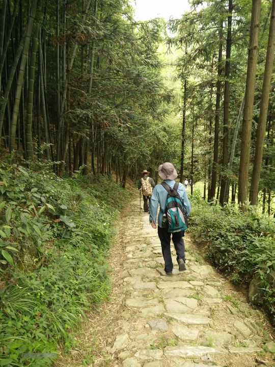 普通岭&苍岭古道穿越IMG20150627123923_眸目压缩