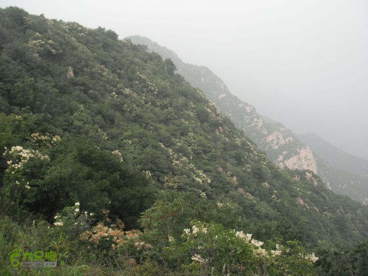 老君庄-东大尖-小庄子DSCF4097