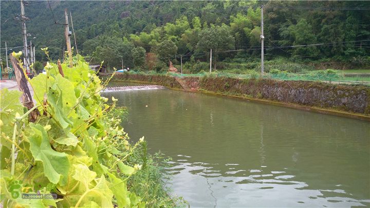 南川古道IMAG1993