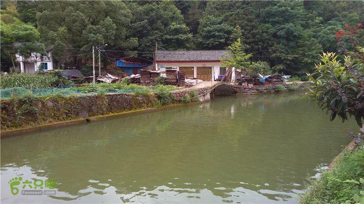 南川古道IMAG1994