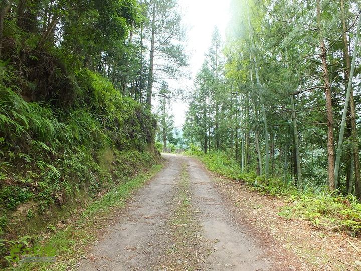 周宁陈峭村栈道－山路绕圈返回2015_0622_103436