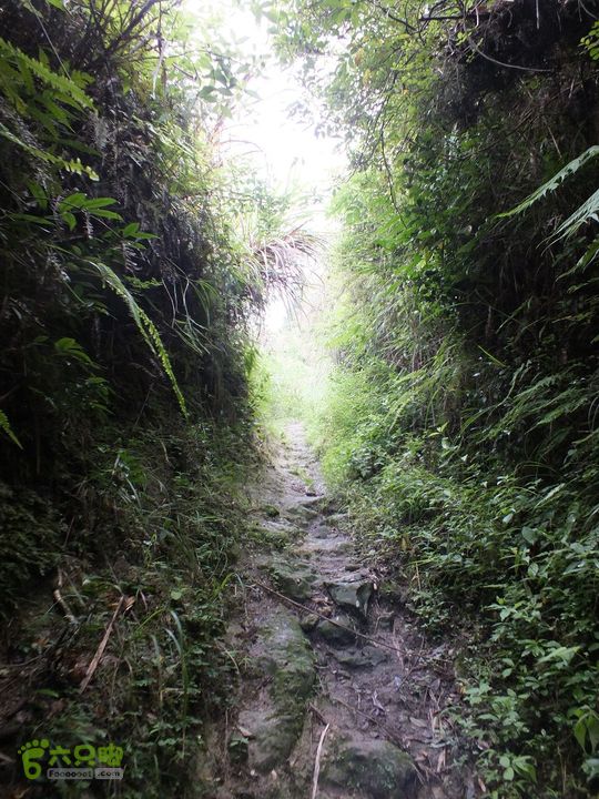 周宁陈峭村栈道－山路绕圈返回2015_0622_110119