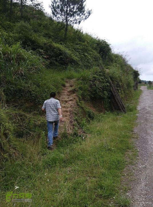 周宁陈峭村栈道－山路绕圈返回2015_0622_105349