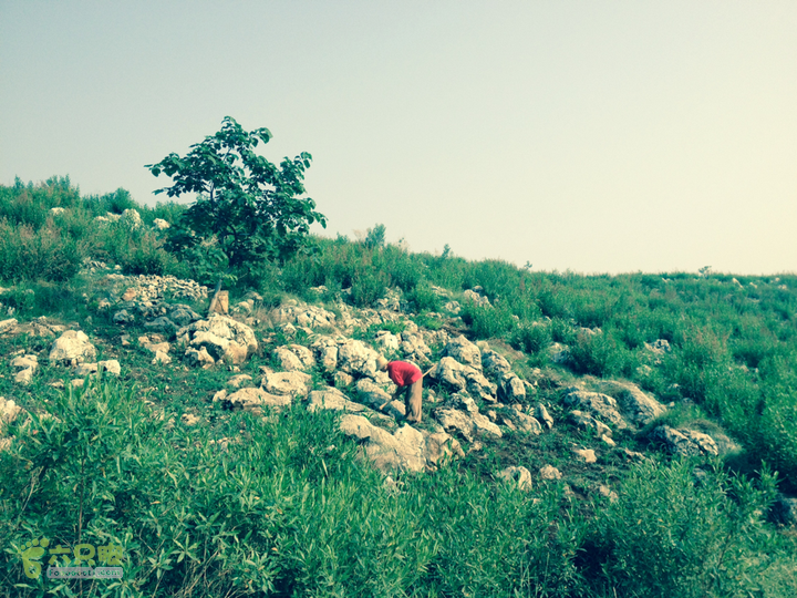 开远～大庄（果花）耕