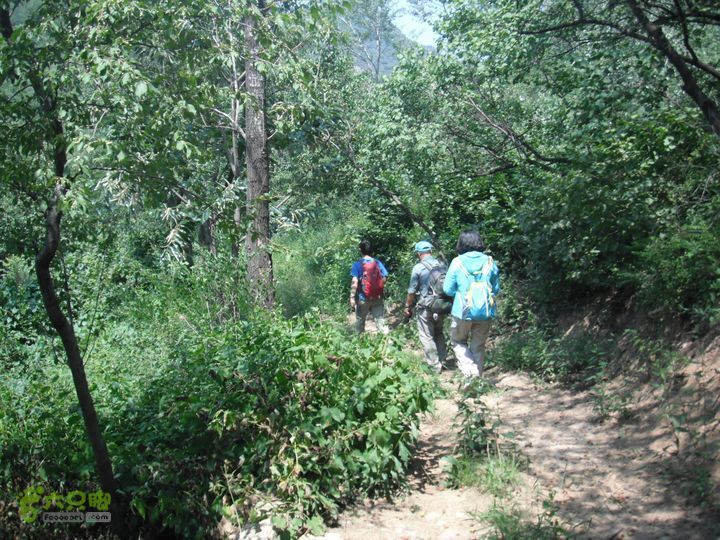 上口-松树沟-车岭-劈破石DSCF4393