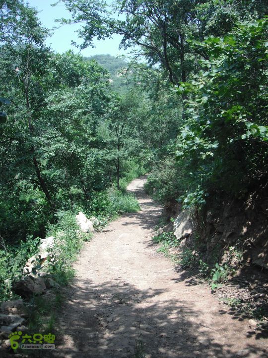 上口-松树沟-车岭-劈破石DSCF4402