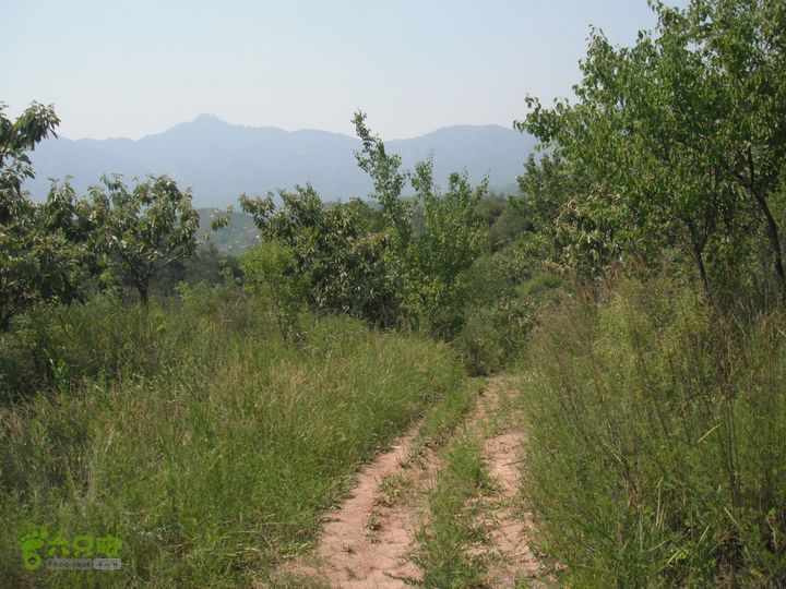 上口-松树沟-车岭-劈破石DSCF4414