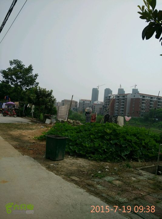 滚子河—府河—澴河2015-07-19 09:38:39