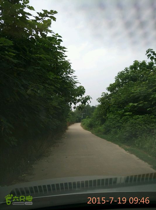 滚子河—府河—澴河2015-07-19 09:46:28
