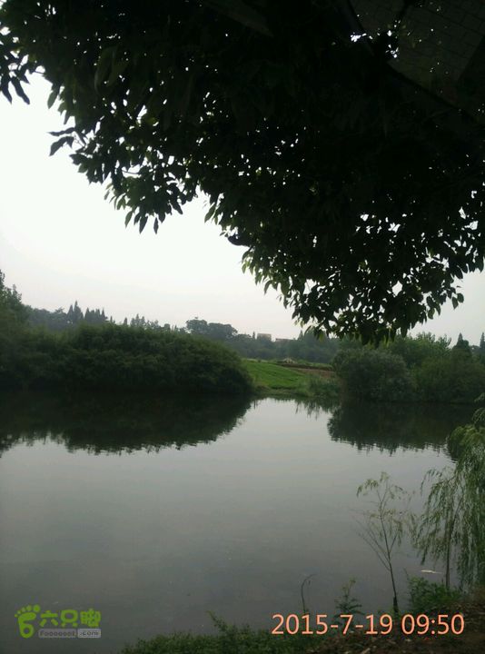 滚子河—府河—澴河2015-07-19 09:51:29