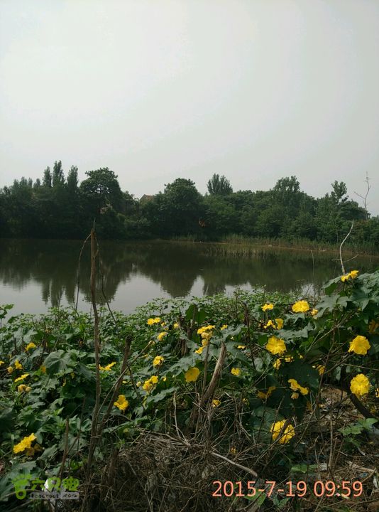 滚子河—府河—澴河2015-07-19 09:59:18