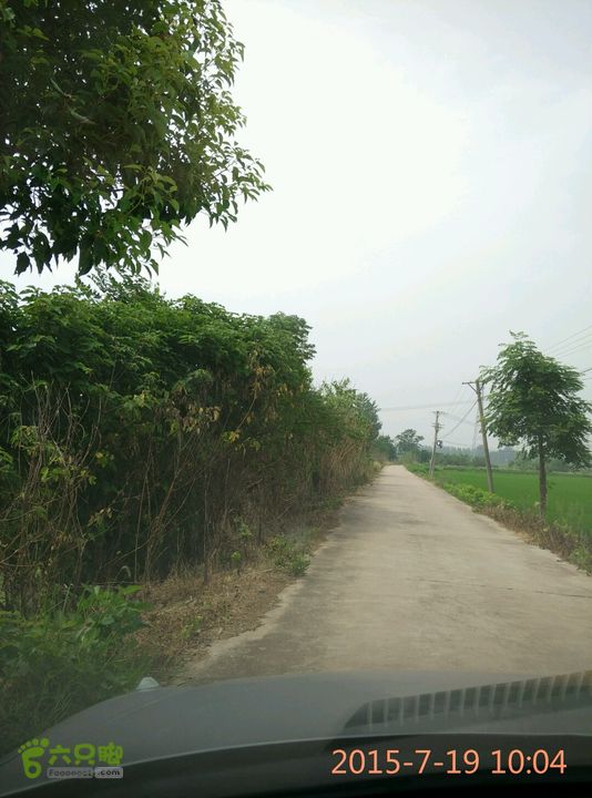 滚子河—府河—澴河2015-07-19 10:04:26