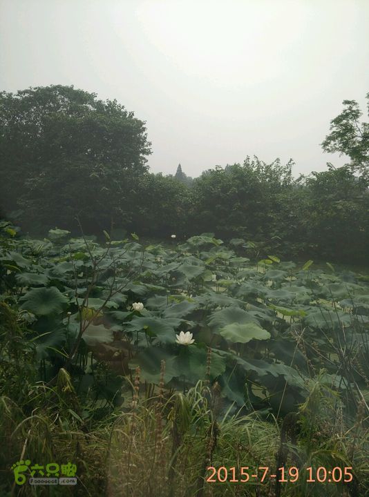 滚子河—府河—澴河2015-07-19 10:05:27