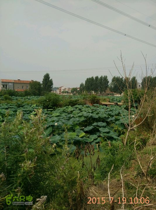 滚子河—府河—澴河2015-07-19 10:07:09