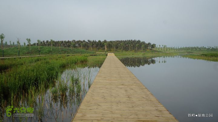 铁岭湿地公园DSC00080-001