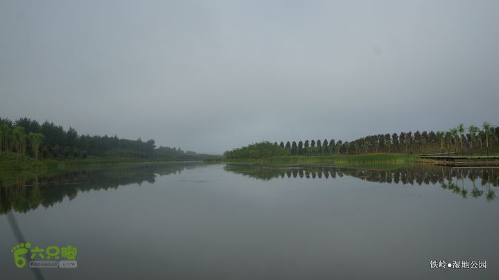 铁岭湿地公园DSC00086-001