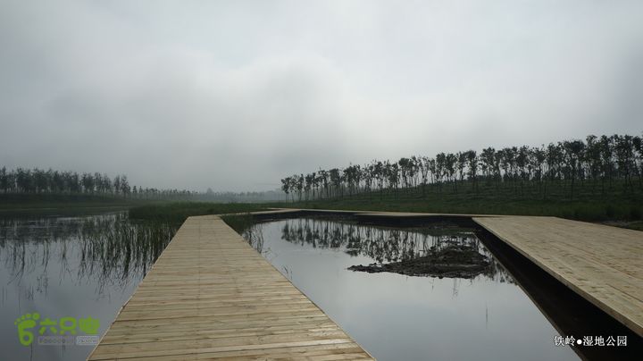 铁岭湿地公园DSC00092-001