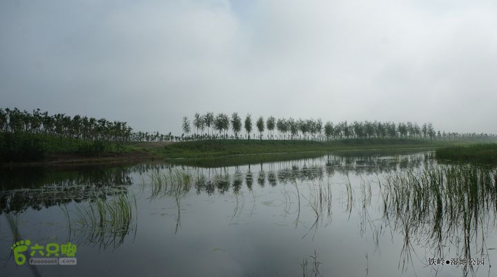 铁岭湿地公园DSC00093-001