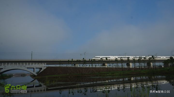 铁岭湿地公园DSC00094-001