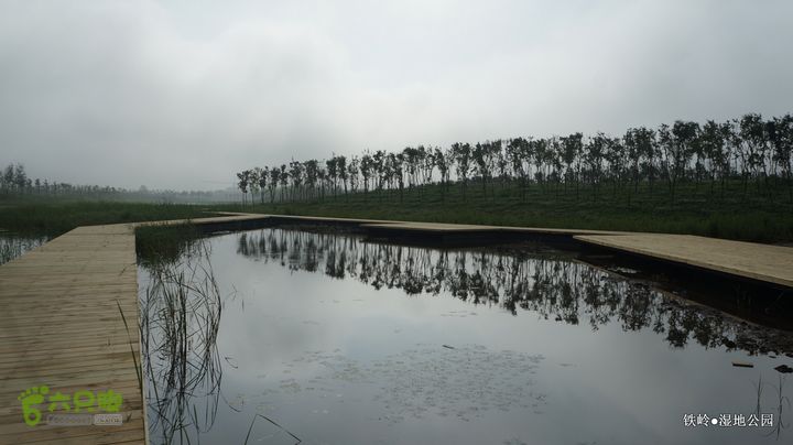 铁岭湿地公园DSC00096-001