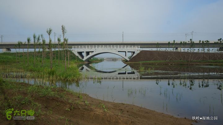 铁岭湿地公园DSC00097-001