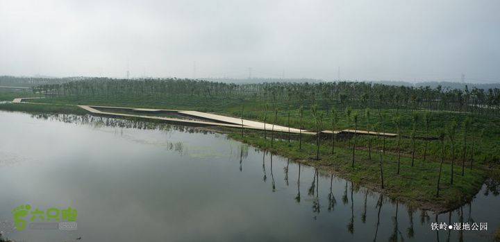 铁岭湿地公园DSC00108-001