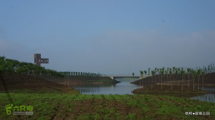 铁岭湿地公园DSC00116-001