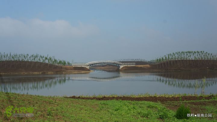 铁岭湿地公园DSC00117-001