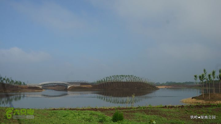 铁岭湿地公园DSC00118-001