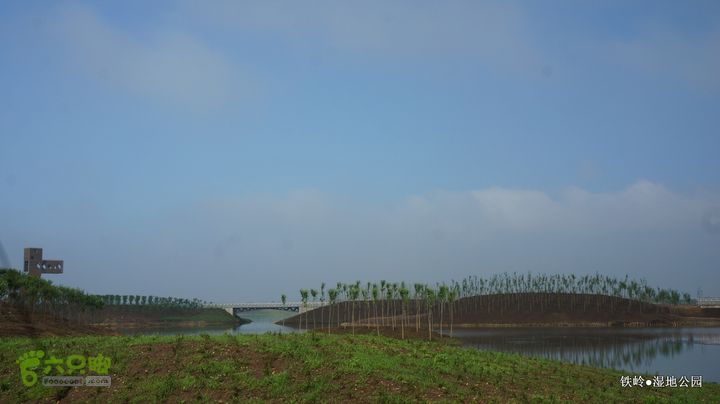 铁岭湿地公园DSC00119-001