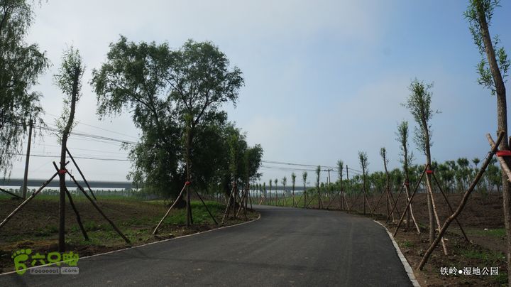 铁岭湿地公园DSC00121-001