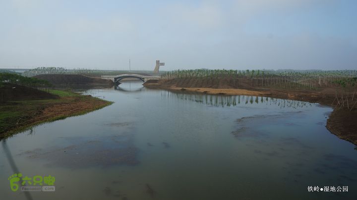 铁岭湿地公园DSC00123-001