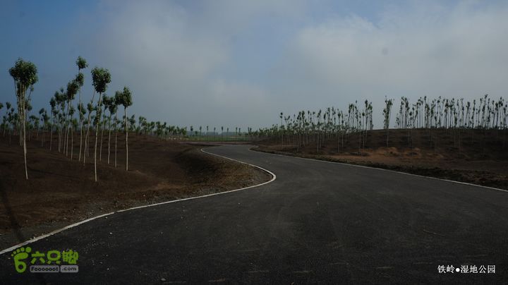 铁岭湿地公园DSC00127-001