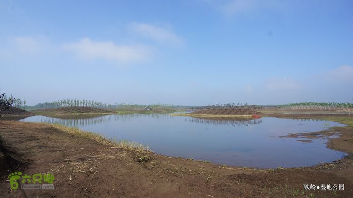 铁岭湿地公园DSC00130-001